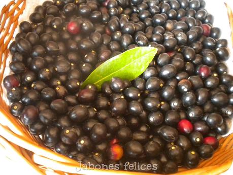 Manteca de bayas de laurel paso a paso Manteca de bayas de laurel paso a paso