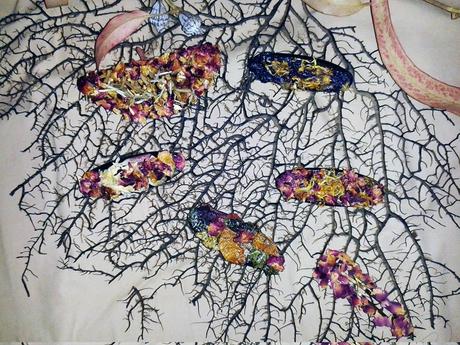 Descubrimientos del universo 2.0: