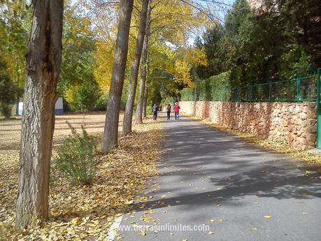 Con El Quijote por las Lagunas de Ruidera Lagunas de Ruidera