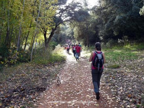 Con El Quijote por las Lagunas de Ruidera Lagunas de Ruidera