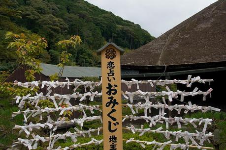 LA RUTA NIPONA: KYOTO (II) - MADERA HÚMEDA, ANOCHECERES AZULES