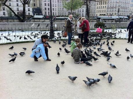9 Cosas que No Sabemos Hacer Cuando Viajamos palomas paris