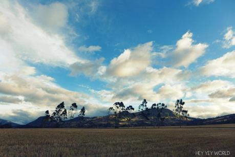 Lava no arde. Imbabura P1040974