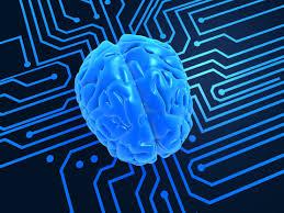 La Inteligencia Colectiva, Neurociencias según el MIT La Inteligencia Colectiva, Neurociencias según el MIT