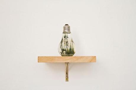 Donjo León y su “condición circular” en Pasto _7470400228