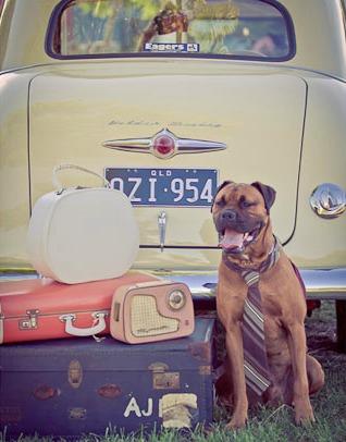 Sesion de Fotos en pareja con Mascota ♕♕ Sesion de Fotos en pareja con Mascota ♕♕