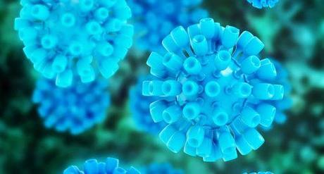 Nueva vacuna genera una fuerte respuesta inmune contra la hepatitis C Nueva vacuna genera una fuerte respuesta inmune contra la hepatitis C