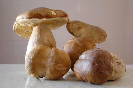 CALABACIN RELLENO DE GAMBAS Y BOLETUS EDULIS