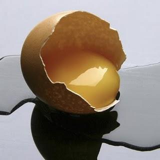 huevo al descubierto