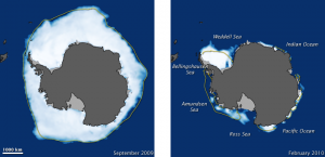El frio Hielo Ártico y Antártico