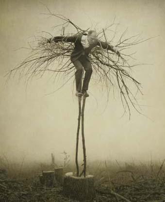 BITTERSWEET. BITTERSWEET.