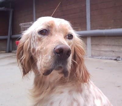 BRISA ¿QUE HACE UNA CHICA COMO TU, EN UN SITIO COMO ESTE? BRISA ¿QUE HACE UNA CHICA COMO TU, EN UN SITIO COMO ESTE?