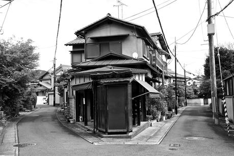 LA RUTA NIPONA: KYOTO (III) - CAQUIS CAÍDOS Y BAMBÚ