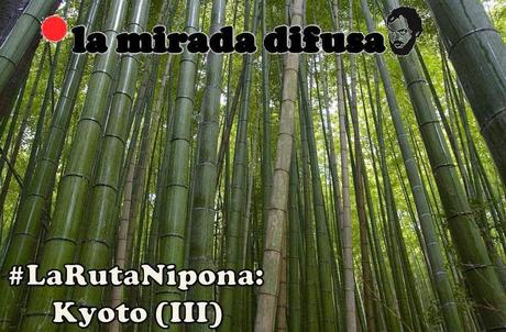 LA RUTA NIPONA: KYOTO (III) - CAQUIS CAÍDOS Y BAMBÚ