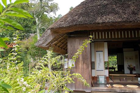 LA RUTA NIPONA: KYOTO (III) - CAQUIS CAÍDOS Y BAMBÚ