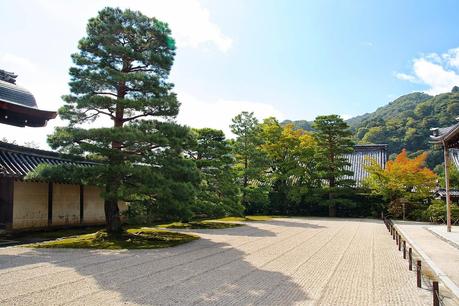 LA RUTA NIPONA: KYOTO (III) - CAQUIS CAÍDOS Y BAMBÚ