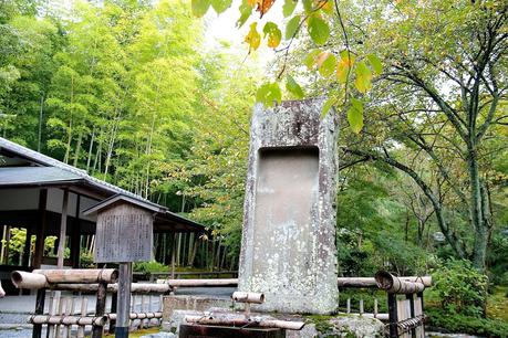 LA RUTA NIPONA: KYOTO (III) - CAQUIS CAÍDOS Y BAMBÚ