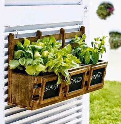 Hierbas en la cocina / Herbs at the kitchen