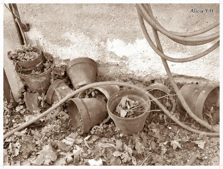 Pueblo en sepia