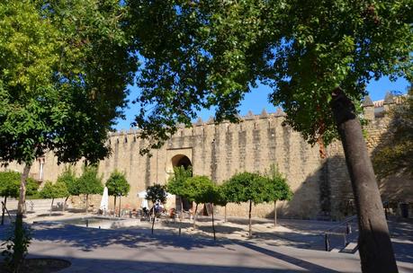 Visitando lugares... Visitando lugares...