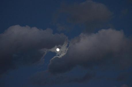 Visitando lugares... Visitando lugares...