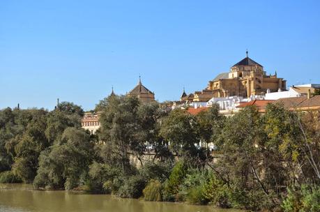 Visitando lugares... Visitando lugares...