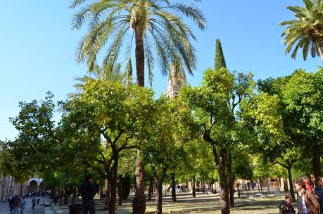 Visitando lugares... Visitando lugares...