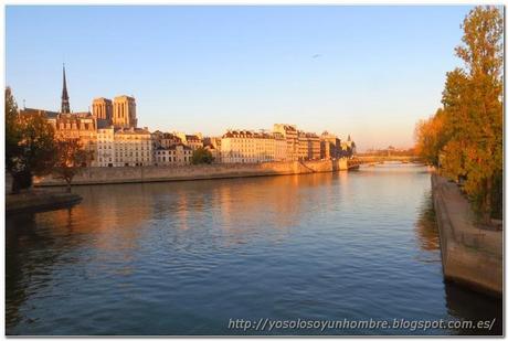 Vista de la isla de la Cité y el Sena