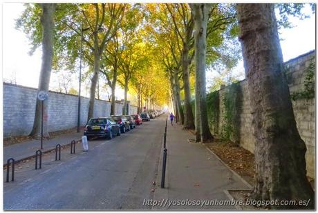 Calle que cruza el cementerio de Montparnasse