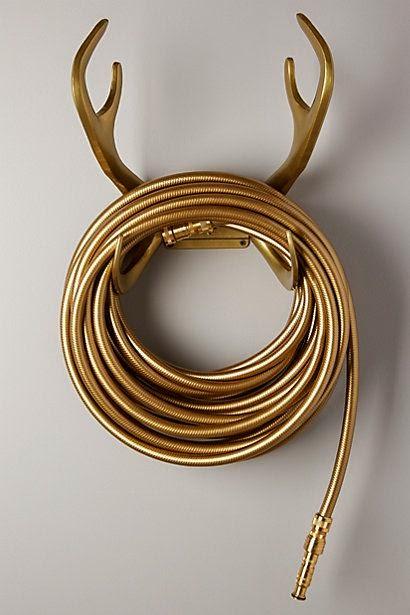 Hoy lunes amanecemos a manguerazo limpio!! Hoy lunes amanecemos a manguerazo limpio!!