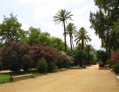 Proyecto de Zona Verde Pública - El Espacio Parque o Jardín (V) - La Percepción