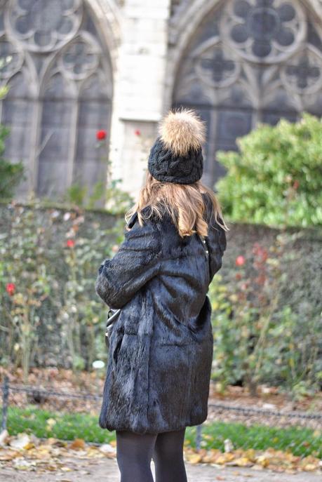 November in Paris: Part I November in Paris: Part I