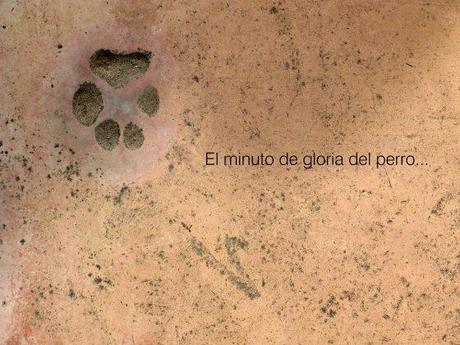 Mirando el suelo… huella2