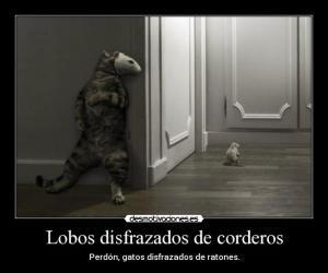 gatos y ratones