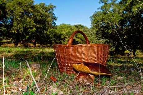 AROMAS DE OTOÑO EN LA MESA