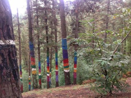 El Bosque de Oma, la obra maestra de Agustín Ibarrola.