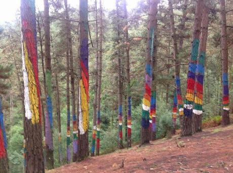 El Bosque de Oma, la obra maestra de Agustín Ibarrola.