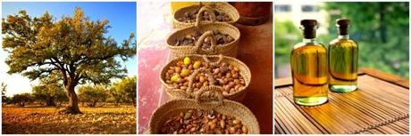 Todo sobre el Aceite de Argán! Usos y beneficios argan tree go natural spain