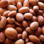 Todo sobre el Aceite de Argán! Usos y beneficios ARGAN gns aceite de argán afro go natural spain