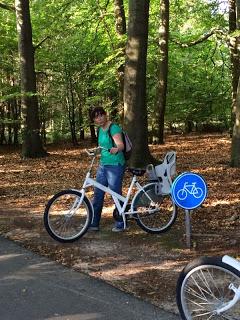 Día 8: Ruta 6: Maastricht - Parque Nacional Hoge Veluwe - Arnhem Día 8: Ruta 6: Maastricht - Parque Nacional Hoge Veluwe - Arnhem