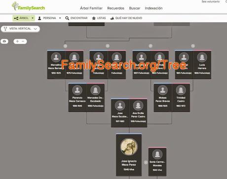 FamilySearch Indexing 2014 para tablets... analizado paso a paso.