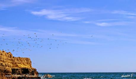 ALBUFEIRA (Portugal): PRAIA DO CASTELO y PUERTO