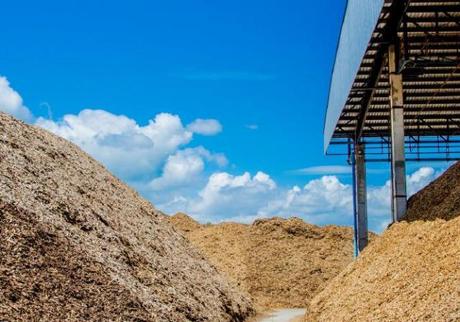 La biomasa de origen vegetal es una fuente alternativa para producir energía térmica