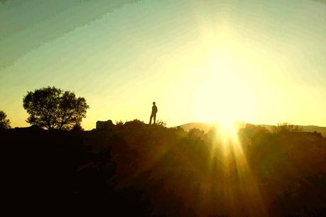 Paseos entre los árboles. Paseos entre los árboles.