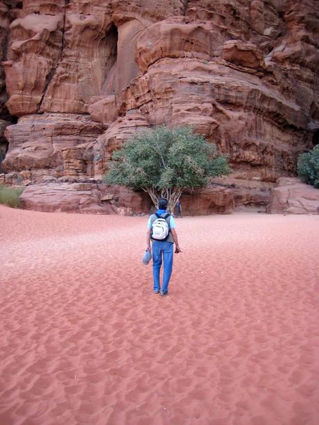 Wadi Rum, el desierto rosa. Wadi Rum, el desierto rosa.