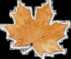 Recuerdos de una casa vacía. Recuerdos de una casa vacía.