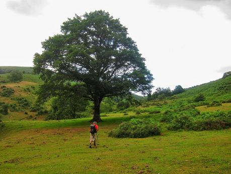 Pico Mirueño y Múa desde el Alto la Llama Pico Mirueño y Múa desde el Alto la Llama