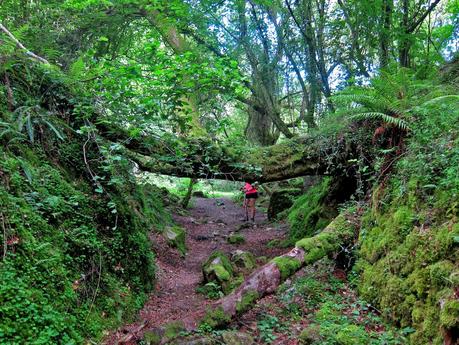 HAYEDO DE LA BIESCONA - MAJADA BUSTACO - ALTO DEL FITO HAYEDO DE LA BIESCONA - MAJADA BUSTACO - ALTO DEL FITO