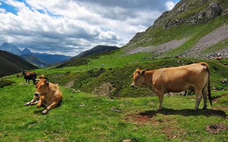 LOS BÍGAROS Y MUÑÓN DESDE TORRESTÍO LOS BÍGAROS Y MUÑÓN DESDE TORRESTÍO