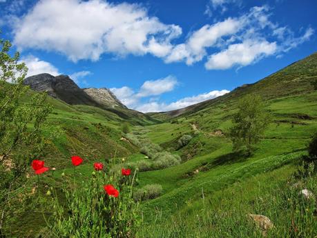 LOS BÍGAROS Y MUÑÓN DESDE TORRESTÍO LOS BÍGAROS Y MUÑÓN DESDE TORRESTÍO